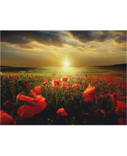 Artgeist A1-XXLFTNT1542 FOTOTAPETTI Main Image