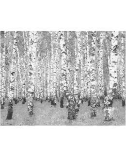 Artgeist A1-FTNT1545 FOTOTAPETTI Main Image