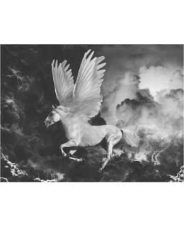 Artgeist A1-XXLFTNT1551 FOTOTAPETTI Main Image