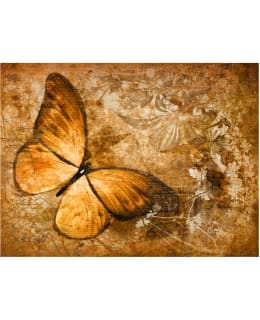 Artgeist A1-XLFTNT1556 FOTOTAPETTI Main Image