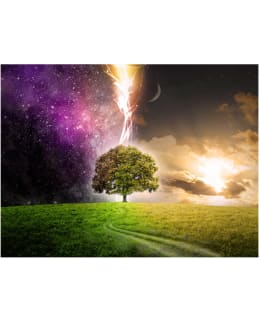 Artgeist A1-4XLFTNT0737 FOTOTAPETTI Main Image