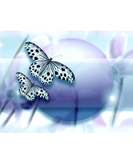 Artgeist A1-XLFTNT1595 FOTOTAPETTI Main Image