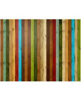 Artgeist A1-4XLFTNT1584 FOTOTAPETTI Main Image