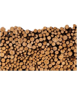 Artgeist A1-FTNT0642-P FOTOTAPETTI Main Image