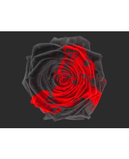 Artgeist A1-4XLFTNT0547 FOTOTAPETTI Main Image