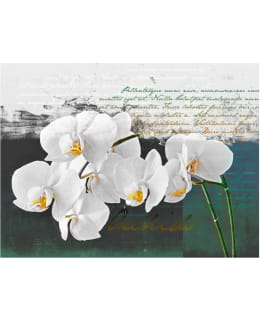 Artgeist A1-FTNT0545-P FOTOTAPETTI Main Image