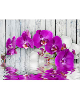 Artgeist A1-FTNT0539-P FOTOTAPETTI Main Image