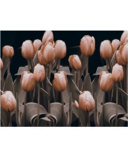 Artgeist A1-XLFTNT0536 FOTOTAPETTI Main Image