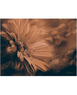 Artgeist A1-XXLFTNT0534 FOTOTAPETTI Main Image