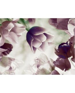 Artgeist A1-FTNT0531-P FOTOTAPETTI Main Image