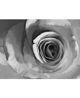 Artgeist A1-FTNT1493 FOTOTAPETTI Main Image