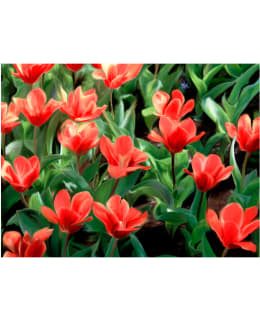 Artgeist A1-XXLFTNT0529 FOTOTAPETTI Main Image