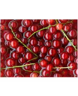 Artgeist A1-LFTNT0479 FOTOTAPETTI Main Image