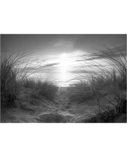 Artgeist A1-3XLNEW010101 FOTOTAPETTI Main Image