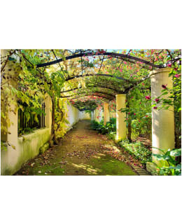 Artgeist A1-NEW010264 FOTOTAPETTI Main Image