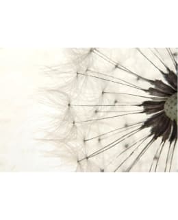 Artgeist A1-LFTNT1392 FOTOTAPETTI Main Image