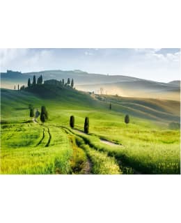 Artgeist A1-4XLNEW010149 FOTOTAPETTI Main Image