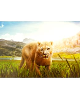 Artgeist A1-4XLNEW010191 FOTOTAPETTI Main Image