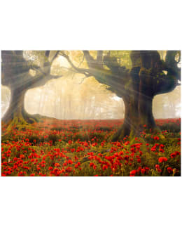 Artgeist A1-4XLNEW010602 FOTOTAPETTI Main Image