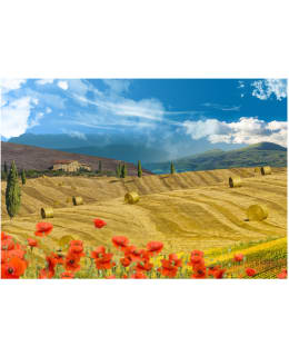 Artgeist A1-XXLNEW010201 FOTOTAPETTI Main Image