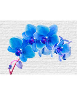 Artgeist A1-XXLNEW010393 FOTOTAPETTI Main Image