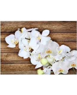 Artgeist A1-LNEW010444 FOTOTAPETTI Main Image