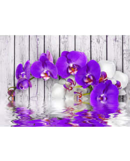 Artgeist A1-MNEW010446 FOTOTAPETTI Main Image