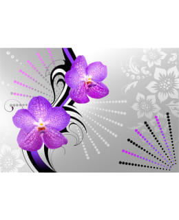 Artgeist A1-XLNEW010468 FOTOTAPETTI Main Image