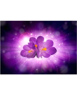 Artgeist A1-NEW010505 FOTOTAPETTI Main Image