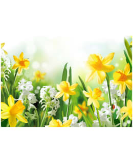 Artgeist A1-4XLNEW010145 FOTOTAPETTI Main Image