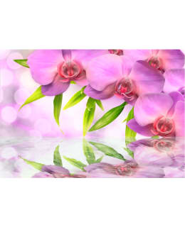 Artgeist A1-XXLNEW010189 FOTOTAPETTI Main Image