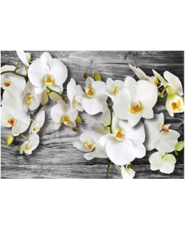 Artgeist A1-3XLNEW010224 FOTOTAPETTI Main Image