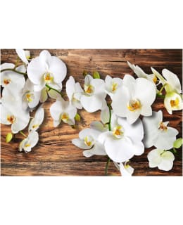 Artgeist A1-XXLNEW010222 FOTOTAPETTI Main Image