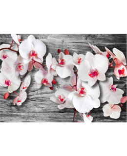 Artgeist A1-XXLNEW010223 FOTOTAPETTI Main Image