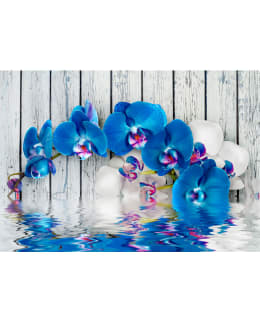 Artgeist A1-LNEW010120 FOTOTAPETTI Main Image