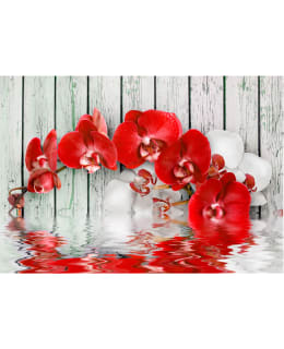 Artgeist A1-3XLNEW010121 FOTOTAPETTI Main Image