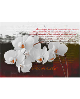 Artgeist A1-LNEW010122 FOTOTAPETTI Main Image