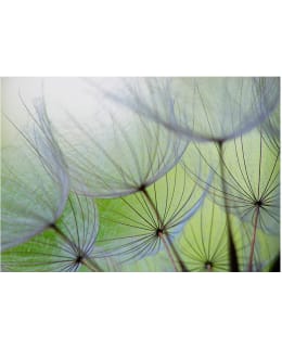 Artgeist A1-LNEW010299 FOTOTAPETTI Main Image