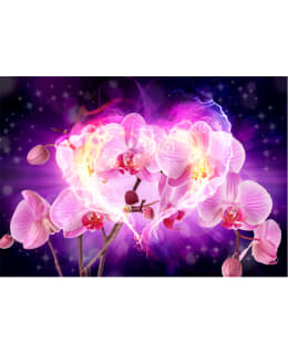 Artgeist A1-XLNEW010331 FOTOTAPETTI Main Image