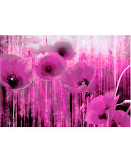 Artgeist A1-SNEW010334 FOTOTAPETTI Main Image