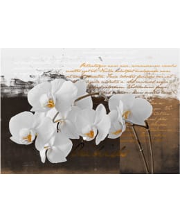 Artgeist A1-XXLNEW010168 FOTOTAPETTI Main Image