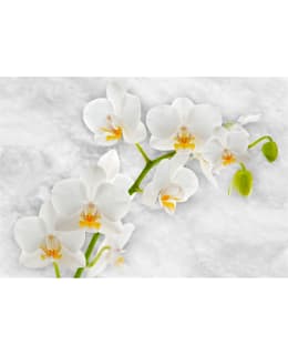 Artgeist A1-SNEW010376 FOTOTAPETTI Main Image