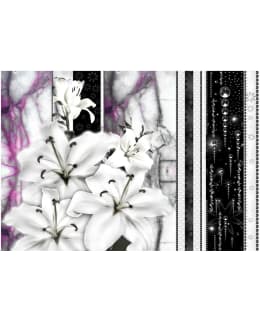 Artgeist A1-XXLNEW010390 FOTOTAPETTI Main Image