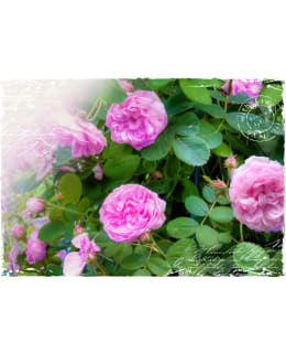 Artgeist A1-4XLNEW010776 FOTOTAPETTI Main Image