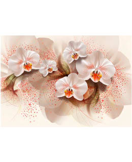 Artgeist A1-XXLNEW011178 FOTOTAPETTI Main Image