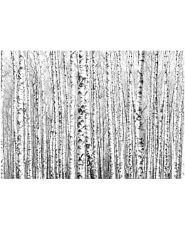 Artgeist A1-LNEW010736 FOTOTAPETTI Main Image