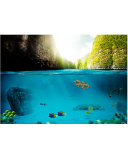 Artgeist A1-XLNEW010737 FOTOTAPETTI Main Image