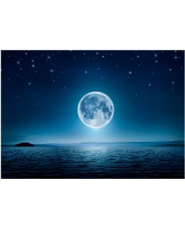 Artgeist A1-MNEW010826 FOTOTAPETTI Main Image