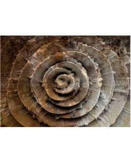 Artgeist A1-MNEW011231 FOTOTAPETTI Main Image