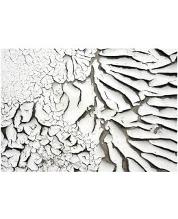 Artgeist A1-4XLNEW011248 FOTOTAPETTI Main Image